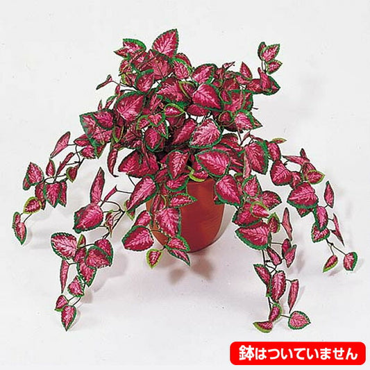 35cm ミニコリウスブッシュ(231) [ONSLEBU7448] |造花 フラワー フェイク 人工観葉植物 リーフ 装飾 デコレーション 飾り イベント パーティー フラワーアレンジメント 店舗装飾 フェイクグリーン ガーランド ディスプレイ 飾り付け インテリア おしゃれ 鉢花 鉢植え