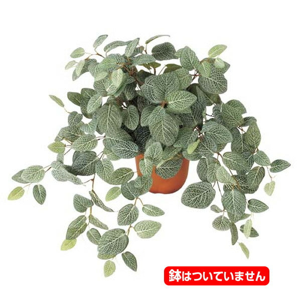 50cm フィットニアブッシュ(174) [ONSLEBU7619] |人工観葉植物 フェイクグリーン 造花 装飾 デコレーション 飾り付け 店舗装飾 ディスプレイ 室内装飾 インテリア フラワーアレンジメント ポトス