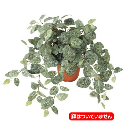 50cm フィットニアブッシュ(174) [ONSLEBU7619] |人工観葉植物 フェイクグリーン 造花 装飾 デコレーション 飾り付け 店舗装飾 ディスプレイ 室内装飾 インテリア フラワーアレンジメント ポトス