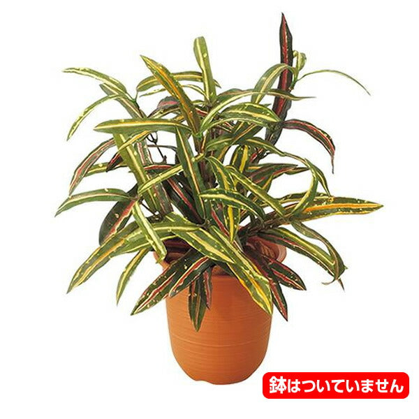 35cm アクバブッシュ(84) [ONSLEBU7623] |造花 フラワー フェイク 人工観葉植物 リーフ 装飾 デコレーション 飾り イベント パーティー フラワーアレンジメント 店舗装飾 フェイクグリーン ガーランド ディスプレイ 飾り付け インテリア おしゃれ 鉢花 鉢植え