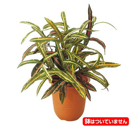 35cm アクバブッシュ(84) [ONSLEBU7623] |造花 フラワー フェイク 人工観葉植物 リーフ 装飾 デコレーション 飾り イベント パーティー フラワーアレンジメント 店舗装飾 フェイクグリーン ガーランド ディスプレイ 飾り付け インテリア おしゃれ 鉢花 鉢植え