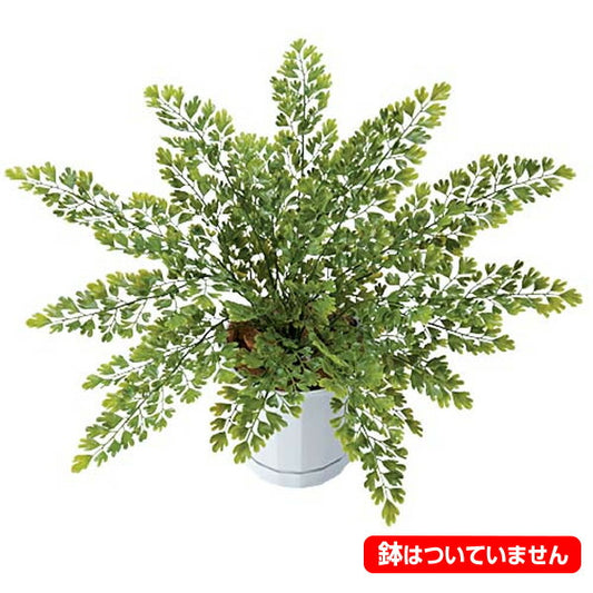 45cm アジアンタムブッシュ(27) [ONSLEBU7641] |造花 フラワー フェイク 人工観葉植物 リーフ 装飾 デコレーション 飾り イベント パーティー フラワーアレンジメント 店舗装飾 フェイクグリーン ガーランド ディスプレイ 飾り付け インテリア おしゃれ 鉢花 鉢植え