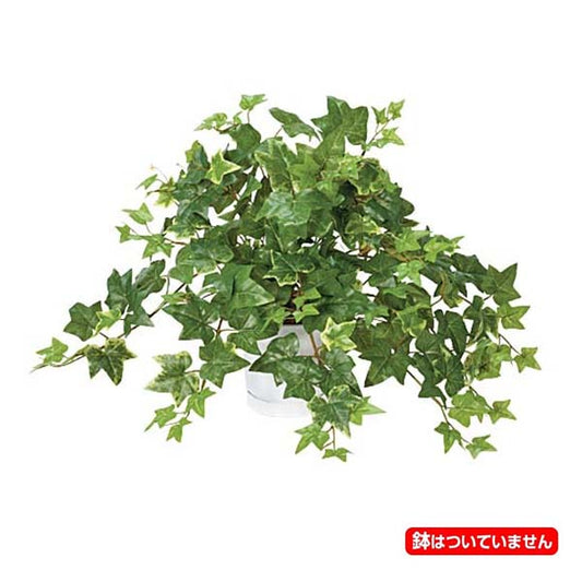 55cm セージアイビーブッシュ(162) [ONSLEBU7649] |人工観葉植物 フェイクグリーン 造花 装飾 デコレーション 飾り付け 店舗装飾 ディスプレイ 室内装飾 インテリア フラワーアレンジメント 鉢植え 鉢花 おしゃれ アイビー