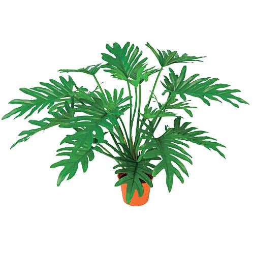 50cm ジャンボフィロセロウムブッシュ 光触媒スプレープレゼント [ONSLEBU7657] 送料無料 |人工観葉植物 大型 アートフラワー 造花 フェイクグリーン 植木 装飾 飾付 イベント パーティー 店舗装飾 ディスプレイ 飾り付け インテリア おしゃれ フィロセロウムブッシュ