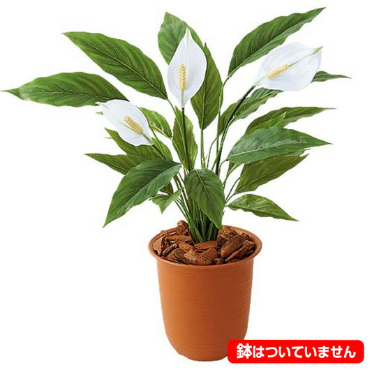 55cm スパッティフィリウムブッシュ(3/21)[ONSLEBU7668] |人工観葉植物 フェイクグリーン 造花 装飾 デコレーション 飾り付け 店舗装飾 ディスプレイ 室内装飾 インテリア フラワーアレンジメント 鉢植え 鉢花 おしゃれ