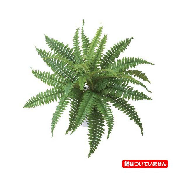 ボストンファーンブッシュ(25) [ONSLEBU7686]人工観葉植物 フェイクグリーン 造花 装飾 デコレーション 飾り付け 店舗装飾 ディスプレイ 室内装飾 インテリア フラワーアレンジメント 鉢植え 鉢花 おしゃれ