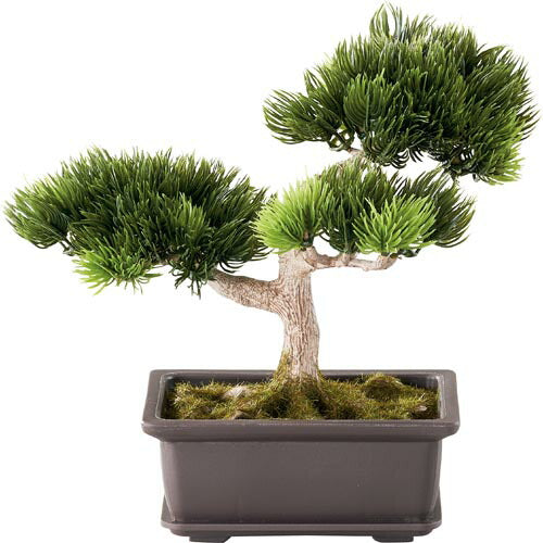 20cm 松盆栽(苔付き) [ONSLEGD7419] |造花 フラワー フェイク 人工観葉植物 リーフ 装飾 デコレーション 飾り イベント パーティー フラワーアレンジメント 店舗装飾 フェイクグリーン ガーランド ディスプレイ 飾り付け インテリア おしゃれ 和風 盆栽 松 まつ マツ