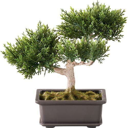 20cm 杉盆栽(苔付き)[ONSLEGD7420] |造花 フラワー フェイク 人工観葉植物 リーフ 装飾 デコレーション 飾り イベント パーティー フラワーアレンジメント 店舗装飾 フェイクグリーン ガーランド ディスプレイ 飾り付け インテリア おしゃれ 和風 盆栽 杉 すぎ スギ
