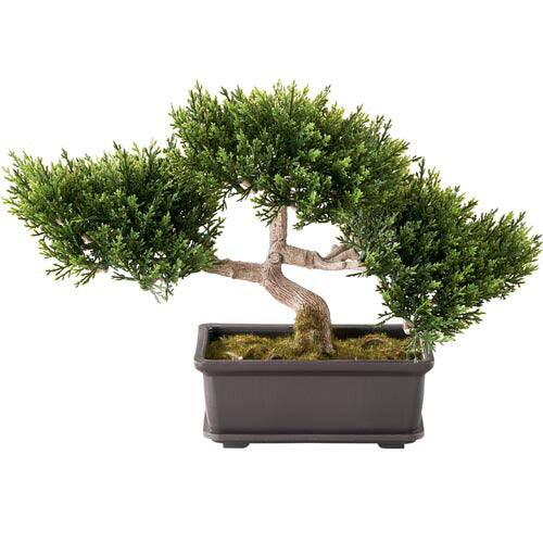 25cm 杉盆栽(苔付き)[ONSLEGD7422] 送料無料 |造花 フラワー フェイク 人工観葉植物 リーフ 装飾 デコレーション 飾り イベント パーティー フラワーアレンジメント 店舗装飾 フェイクグリーン ガーランド ディスプレイ 飾り付け インテリア おしゃれ 和風 盆栽 杉 すぎ スギ