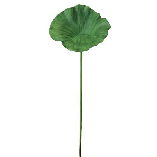 70cm ハスリーフ(L) [ONSLESP3857] |人工観葉植物 アートフラワー 造花 フラワー フェイクグリーン 資材 装飾 飾付 デコレーション 飾り イベント パーティー フラワーアレンジメント 花材 インテリア 店舗装飾 ディスプレイ 室内装飾 飾り付け ガーランド ハス リーフ 和葉