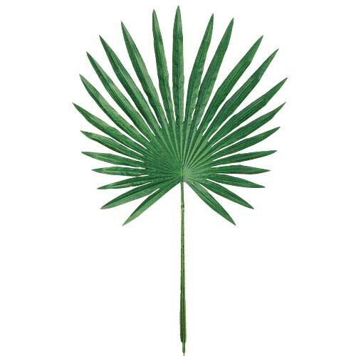 80cm ファンパームリーフ(L) [ONSLESP3875] |人工観葉植物 アートフラワー 造花 フラワー フェイクグリーン 資材 装飾 飾付 デコレーション 飾り イベント パーティー フラワーアレンジメント 花材 インテリア 店舗装飾 ディスプレイ 室内装飾 飾り付け ガーランド リーフ