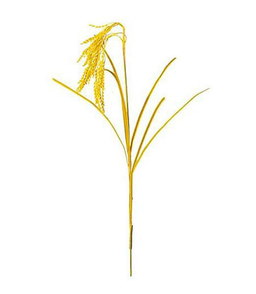 75cm イナホスプレイ [ONSLESP5423] |人工観葉植物 アートフラワー 造花 フラワー フェイクグリーン 資材 装飾 飾付 デコレーション 飾り イベント パーティー フラワーアレンジメント 花材 インテリア 店舗装飾 ディスプレイ 室内装飾 飾り付け 秋 イナホ スプレイ 稲穂