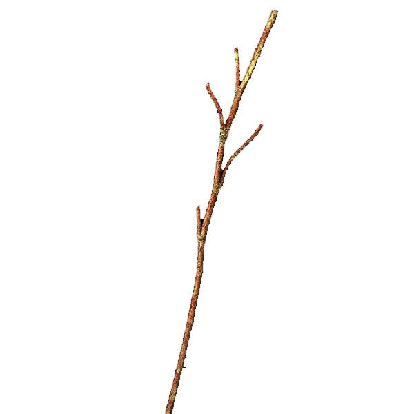 95cm シャイニーツイグスプレイ [ONSLESP6668] |造花 フェイクグリーン 人工観葉植物 資材 花材 フラワーアレンジメント 花 枝 葉 ピック スプレイ デコレーション 店舗装飾 イベント クリスマス シャイニーツイグ ゴールド 室内装飾 飾り付け Christmas