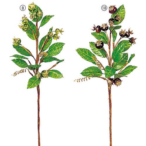 40cm フレッシュローズヒップスプレイ [ONSLESP7461] |人工観葉植物 アートフラワー 造花 フェイクグリーン 装飾 飾付 デコレーション 飾り イベント パーティー フラワーアレンジメント 店舗装飾 ローズ スプレイ ディスプレイ 室内装飾 飾り付け 薔薇 バラ ばら 花束