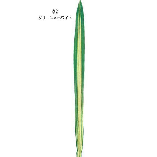 125cm シマニューサイランリーフ [ONSLESP7628]|人工観葉植物 アートフラワー 造花 フラワー フェイクグリーン 資材 装飾 飾付 デコレーション 飾り イベント パーティー フラワーアレンジメント 花材 インテリア 店舗装飾 ディスプレイ 室内装飾 飾り付け ガーランド リーフ