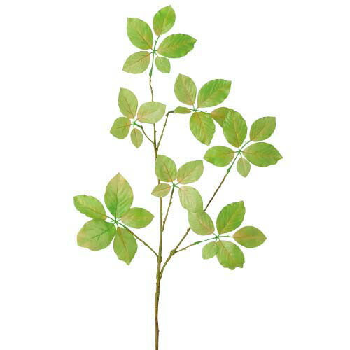 80cm ブナスプレイ [ONSLESP7891] |人工観葉植物 アートフラワー 造花 フラワー フェイクグリーン 資材 装飾 飾付 デコレーション 飾り イベント パーティー フラワーアレンジメント 花材 ガーランド インテリア 店舗装飾 ディスプレイ 室内装飾 飾り付け ブナ スプレイ