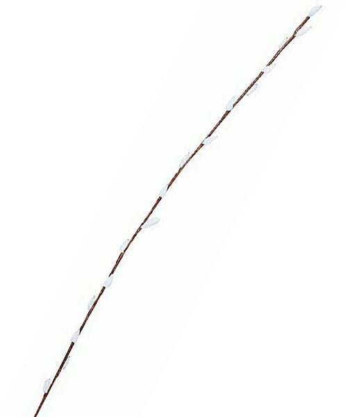 90cm 猫柳スプレイ(13) [ONSLESP8416] |人工観葉植物 アートフラワー 造花 フラワー フェイクグリーン 資材 装飾 飾付 デコレーション 飾り イベント パーティー フラワーアレンジメント 花材 インテリア 店舗装飾 ディスプレイ 室内装飾 飾り付け 猫柳 スプレイ