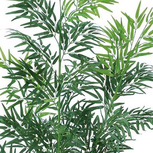 210cm タケツリー(4/1065)[ONSLETR7610] 光触媒スプレープレゼント 代引決済不可 送料無料 |人工観葉植物 フェイクグリーン 造花 装飾 飾り付け 店舗装飾 ディスプレイ 室内装飾 インテリア 大型 七夕 祭り イベント 竹 タケ
