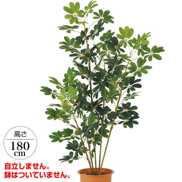 180cm カポックツリー 光触媒スプレープレゼント [ONSLETR7623] 代引決済不可 送料無料 |人工観葉植物 大型 アートフラワー 造花 フェイクグリーン 植木 装飾 飾付 イベント パーティー 店舗装飾 ディスプレイ 飾り付け インテリア おしゃれ カポック ツリー