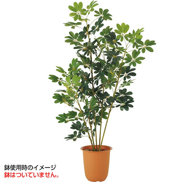 180cm カポックツリー 光触媒スプレープレゼント [ONSLETR7623] 代引決済不可 送料無料 |人工観葉植物 大型 アートフラワー 造花 フェイクグリーン 植木 装飾 飾付 イベント パーティー 店舗装飾 ディスプレイ 飾り付け インテリア おしゃれ カポック ツリー