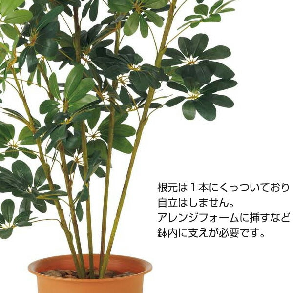180cm カポックツリー 光触媒スプレープレゼント [ONSLETR7623] 代引決済不可 送料無料 |人工観葉植物 大型 アートフラワー 造花 フェイクグリーン 植木 装飾 飾付 イベント パーティー 店舗装飾 ディスプレイ 飾り付け インテリア おしゃれ カポック ツリー