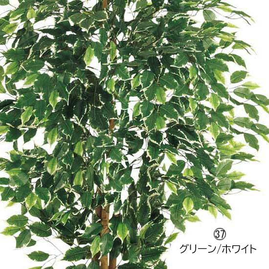 150cm フィカスツリー(ナチュラルトランク)[ONSLETR7633] 光触媒スプレープレゼント 代引決済不可 送料無料 |人工観葉植物 フェイクグリーン 造花 装飾 飾り付け 店舗装飾 ディスプレイ 室内装飾 インテリア 大型