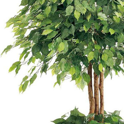 210cm ダブルフィカスツリー(ナチュラルトランク)[ONSLETR7639] 光触媒スプレープレゼント 代引決済不可 送料無料 |人工観葉植物 フェイクグリーン 造花 装飾 飾り付け 店舗装飾 ディスプレイ 室内装飾 インテリア 大型