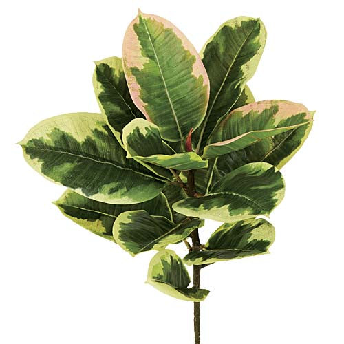 50cm ラバーブッシュ(15) [ONSLETR7672] |人工観葉植物 アートフラワー 造花 フラワー フェイクグリーン 資材 装飾 飾付 デコレーション 飾り イベント パーティー フラワーアレンジメント 花材 インテリア 店舗装飾 ディスプレイ 室内装飾 飾り付け ガーランド ブッシュ