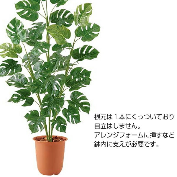 150cm スプリットフィロツリー[ONSLETR7676] 光触媒スプレープレゼント 代引決済不可 送料無料 |人工観葉植物 フェイクグリーン 造花 装飾 飾り付け 店舗装飾 ディスプレイ 室内装飾 インテリア 大型ツリー おしゃれ
