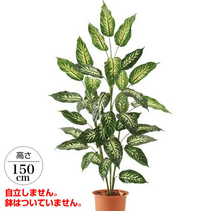 150cm ディフェンバキアツリー 光触媒スプレープレゼント [ONSLETR7677] 代引決済不可 送料無料 |人工観葉植物 大型 アートフラワー 造花 フェイクグリーン 植木 装飾 飾付 イベント パーティー 店舗装飾 ディスプレイ 飾り付け インテリア おしゃれ ディフェンバキア ツリー