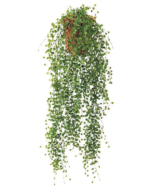 100cm スモールピーリーフバイン(8) [ONSLEVI7570] 送料無料 |人工観葉植物 造花 フェイクグリーン 資材 装飾 飾付 デコレーション 飾り イベント パーティー フラワーアレンジメント インテリア 店舗装飾 ディスプレイ 室内装飾 飾り付け ガーランド 鉢植え 吊るし鉢 バイン