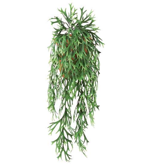 80cm プラティセリウムバイン[ONSLEVI7577] |人工観葉植物 造花 フェイクグリーン 資材 装飾 飾付 デコレーション 飾り イベント パーティー フラワーアレンジメント 花材 インテリア 店舗装飾 ディスプレイ 室内装飾 飾り付け ガーランド 吊り下げ鉢植え ツル 吊るす バイン