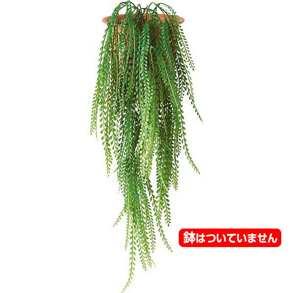 80cm コラムニアバイン [ONSLEVI7578] |人工観葉植物 造花 フェイクグリーン 資材 装飾 飾付 デコレーション 飾り イベント パーティー フラワーアレンジメント 花材 インテリア 店舗装飾 ディスプレイ 室内装飾 飾り付け ガーランド 吊り下げ鉢植え ツル 吊るす バイン