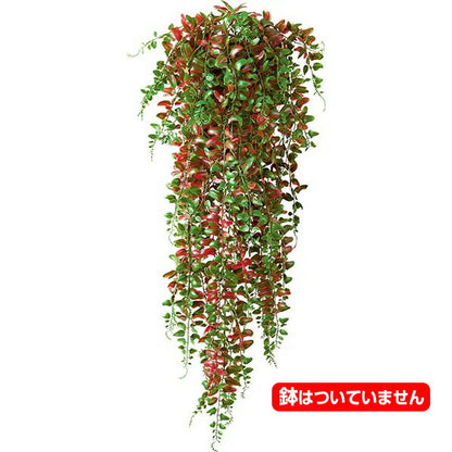 80cm レッドグリーンベーカーファーンバイン [ONSLEVI7582] |人工観葉植物 造花 フェイクグリーン 資材 装飾 飾付 デコレーション 飾り イベント パーティー フラワーアレンジメント インテリア 店舗装飾 ディスプレイ 室内装飾 飾り付け ガーランド 吊り下げ鉢植え 吊るす