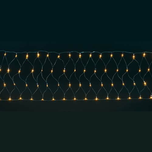 全高50×幅500cm 耐水 200球 広角型LEDシャンペーンレクタンギュラーネットライト/ブラックコード(パワーコード、コネクター付き) [ONSPALI61229] 送料無料 |クリスマス イルミネーション ライト 照明 LED 装飾 飾付 イベント クリスマスツリー飾り オーナメント 飾り付け